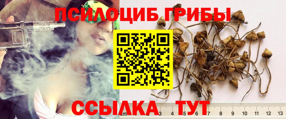 Галлюциногенные грибы Magic Shrooms Жигулёвск