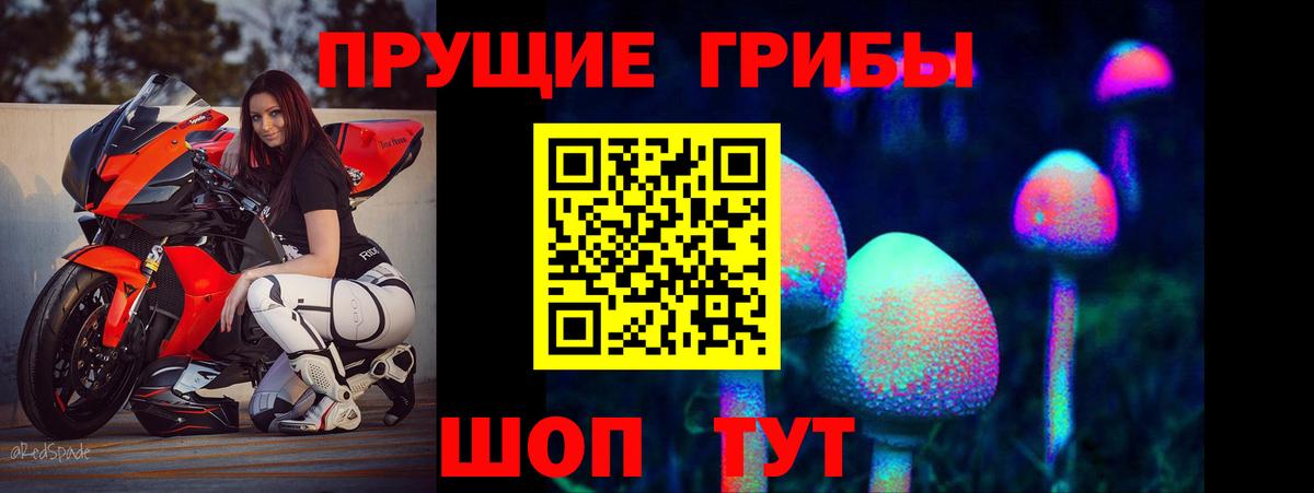 купить   Галлюциногенные грибы мухоморы  Галлюциногенные грибы Psilocybe  Вход с VPN  Жигулёвск 